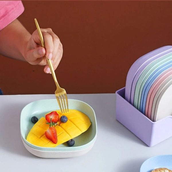 Deal-Spice Container Box & Plate Set